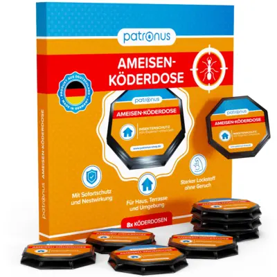 günstige ameisen köderdose