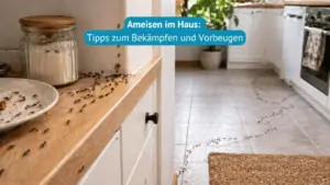 ameisen im Haus bekämpfen