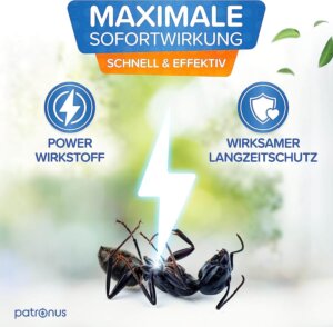 Sofortwirkung- Bild von Ameise und Blitz
