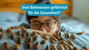 sind bettwanzen gefährlich für die gesundheit