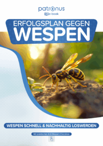 Wespen Spray