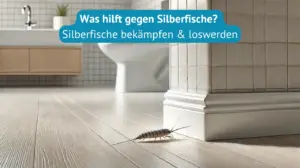 Silberfische bekämpfen und loswerden