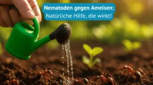 nematoden gegen ameisen