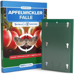 Apfelwicklerfalle