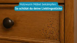 holzwurm möbel bekämpfen