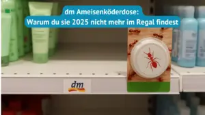 dm ameisenköderdose