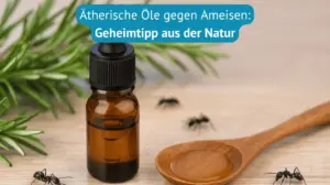 ätherische öle gegen ameisen