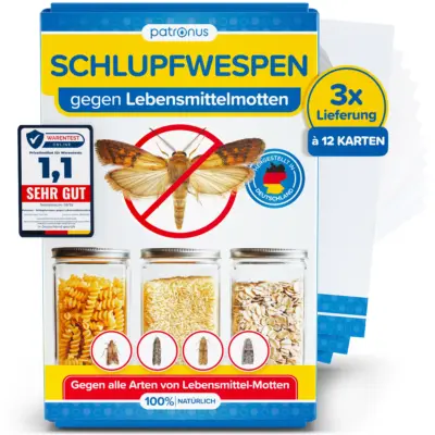 3x12 Schlupfwespen gegen Lebensmittelmotten