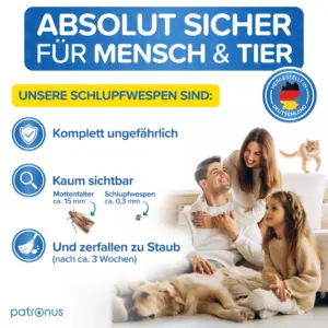 Gegenüberstellung Schlupfwespen und Motten