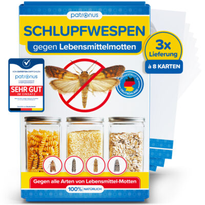Schlupfwespen gegen Lebensmittelmotten - 3x8 Karten