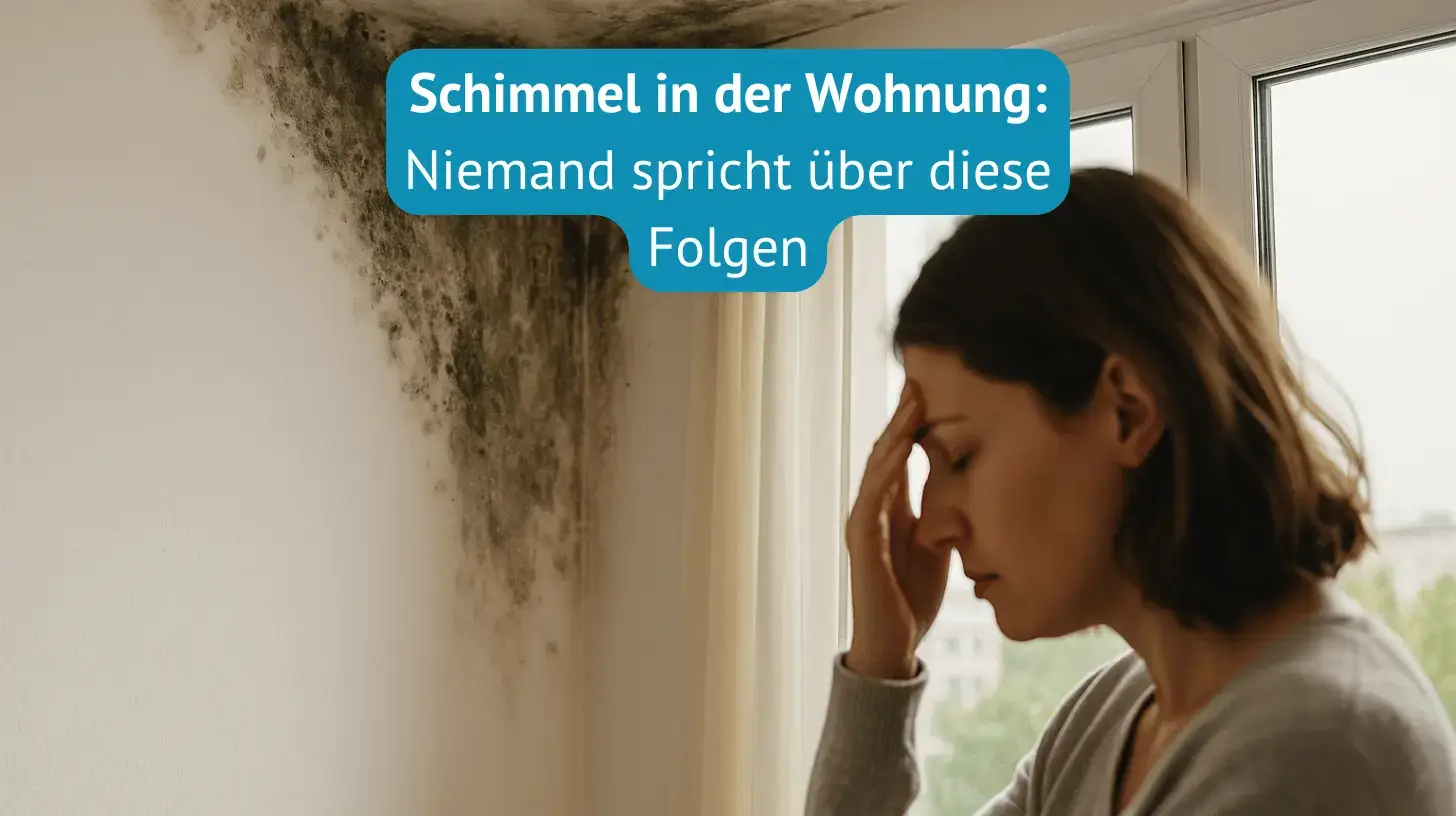 schimmel in der wohnung