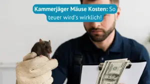 kammerjäger mäuse kosten