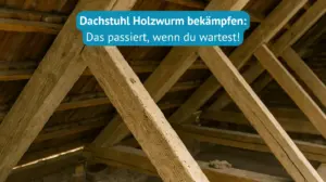 dachstuhl holzwurm bekämpfen
