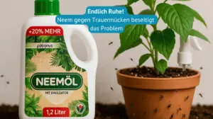 neem gegen trauermücken