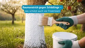 baumanstrich gegen schädlinge
