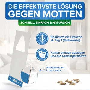 mottenfalle kleidung