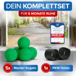 marder aus auto fernhalten
