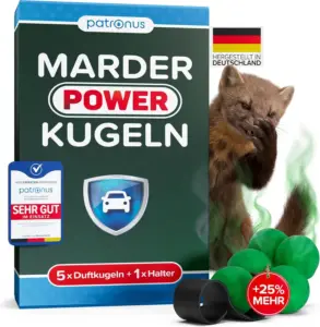 marder nachts aktiv
