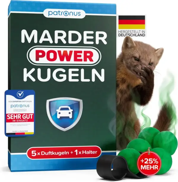 marder nachts aktiv