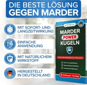 marder geruch entfernen