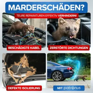marder im dachboden loswerden