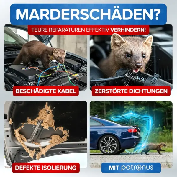 marder im dachboden loswerden
