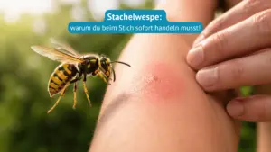 stachelwespe