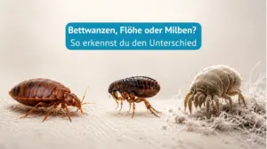 Bettwanzen, Flöhe oder Milben?