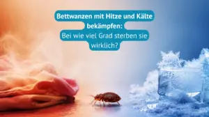 Bettwanzen mit Hitze und Kälte bekämpfen