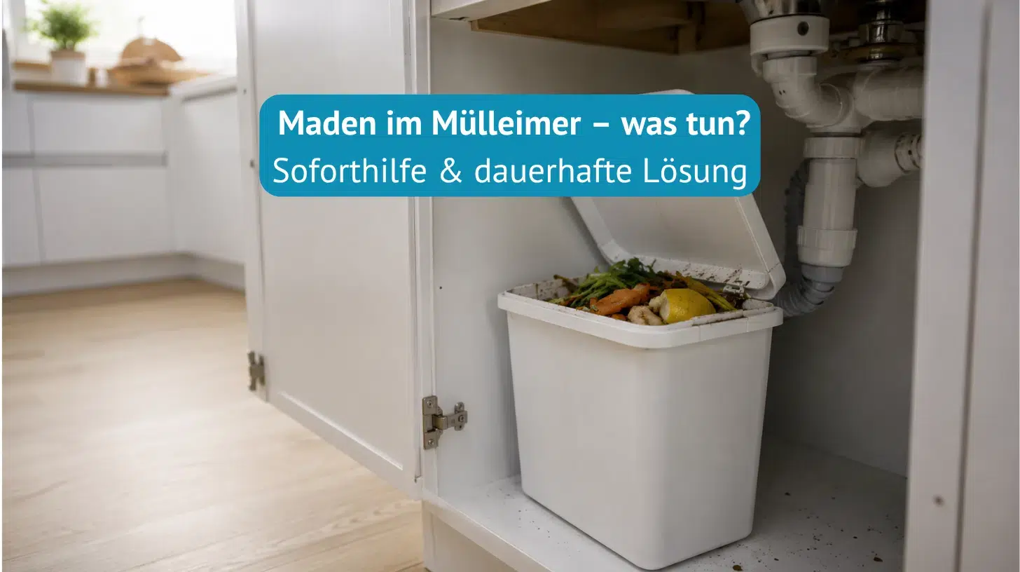 Maden-im-Mülleimer