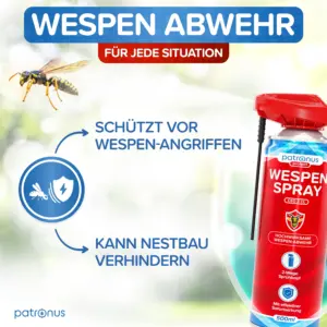 Wespenspray gegen Wespennest