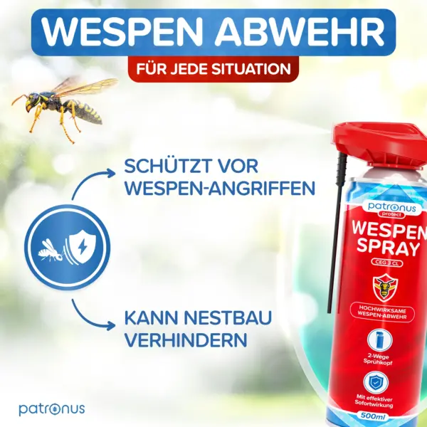 Wespenspray gegen Wespennest