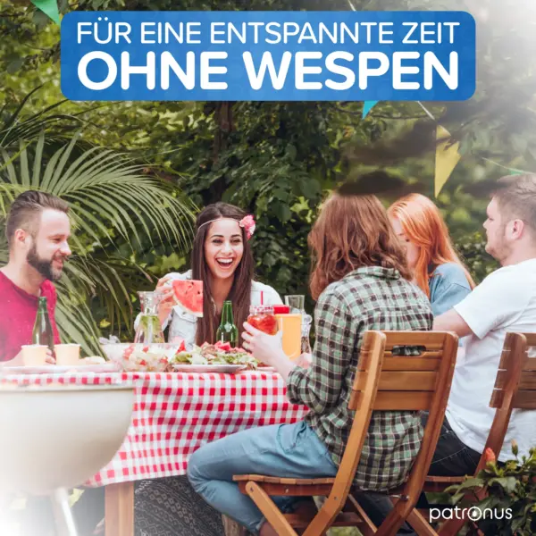 Wespenspray sofortwirkung