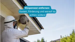 wespennest entfernen kosten