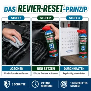 Das Revier-Reset-Prinzip von Patronus – Löschen, Neu setzen, Durchhalten gegen Marder