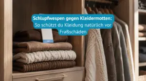 Schlupfwespen-gegen-Kleidermotten