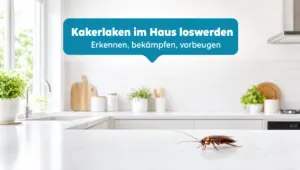 Kakerlaken im Haus erkennen und dauerhaft loswerden