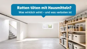 Ratten töten mit Hausmitteln – heller Kellerraum als typischer Befallsort