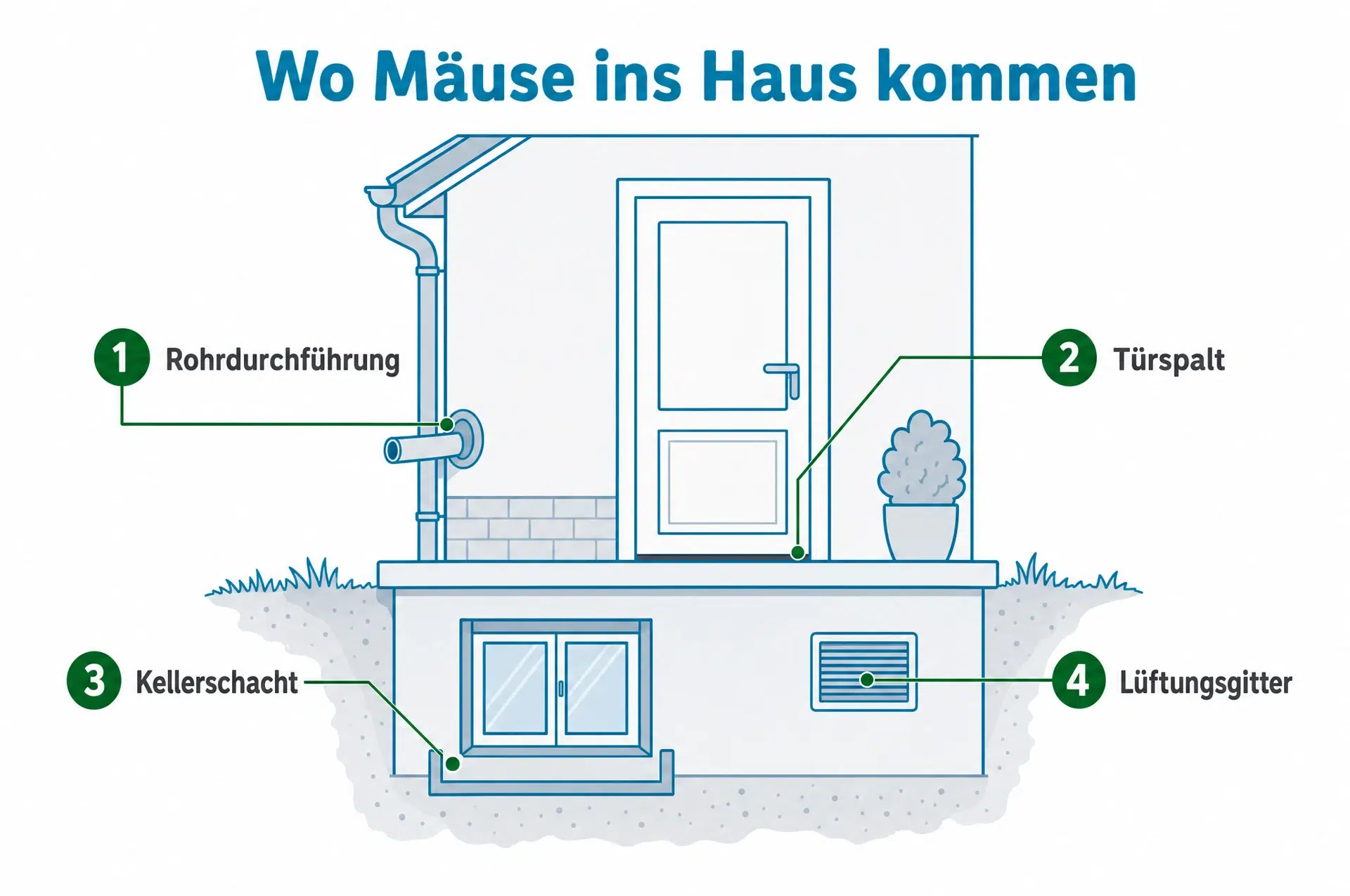Wo Mäuse ins Haus kommen: vier Zugänge, die du zum Mäuse vertreiben abdichten solltest