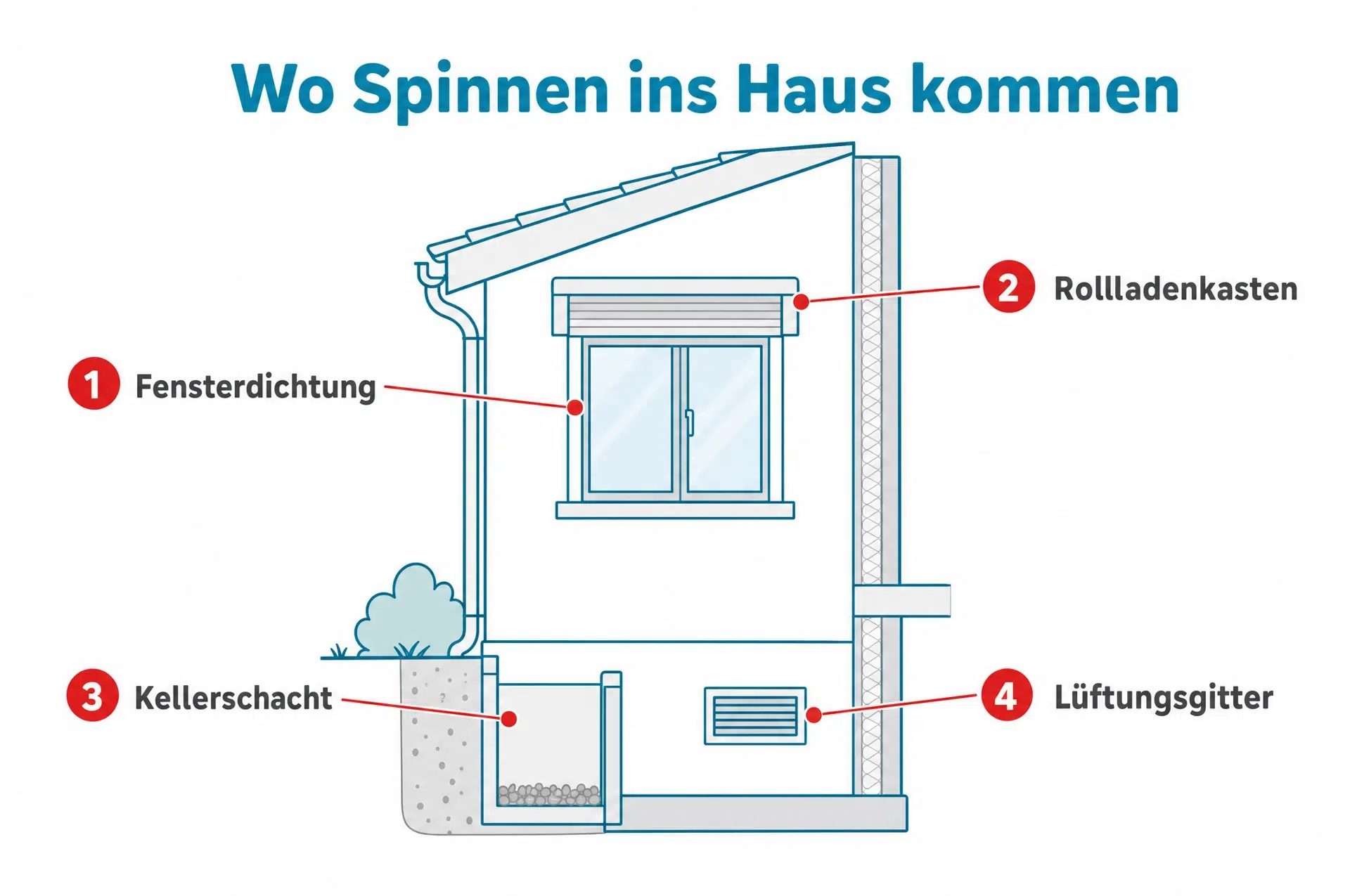 Wo Spinnen ins Haus kommen: vier Zugänge, die du zum Spinnen vertreiben abdichten solltest