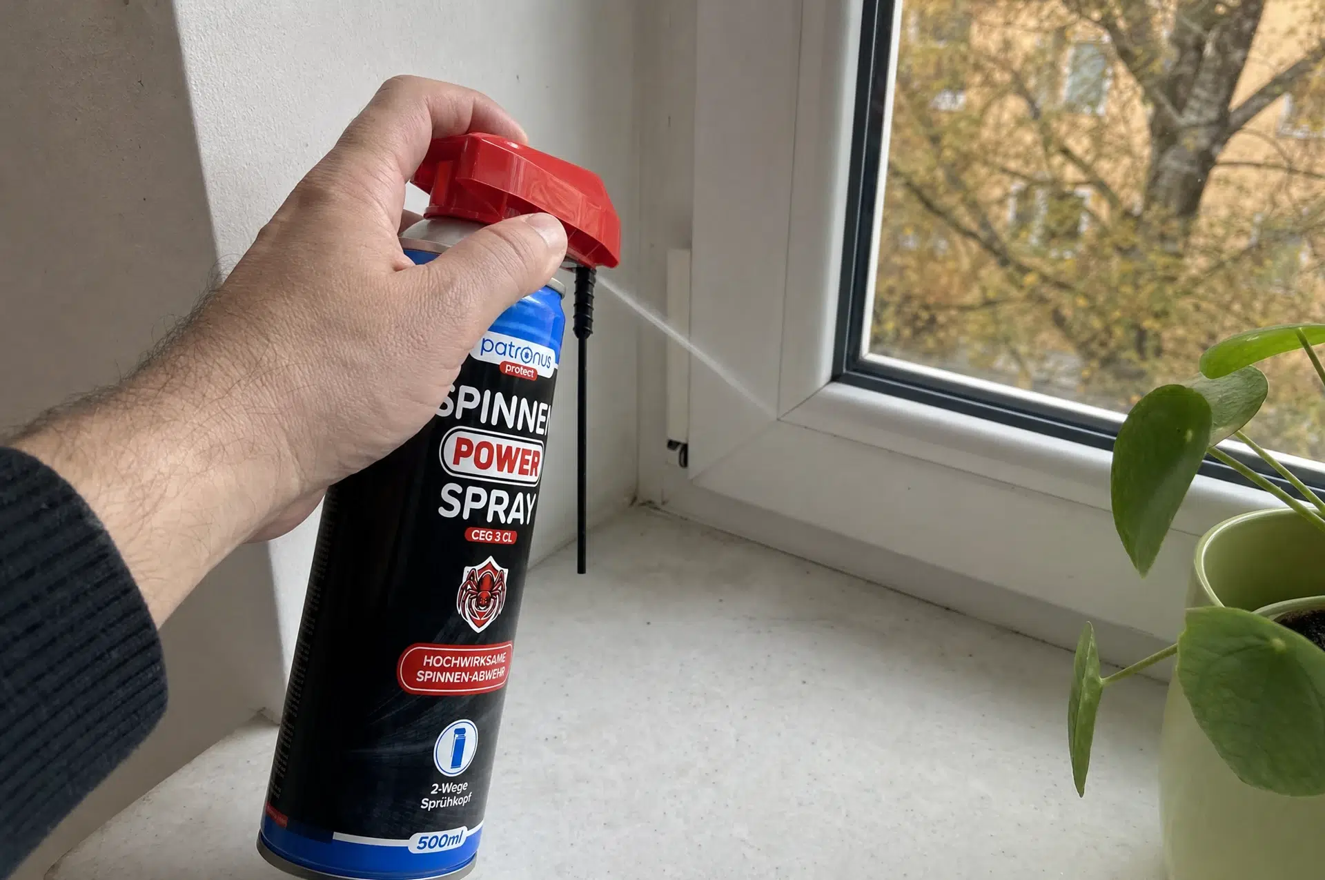 Patronus Spinnen Power Spray am Fensterrahmen zum Spinnen vertreiben
