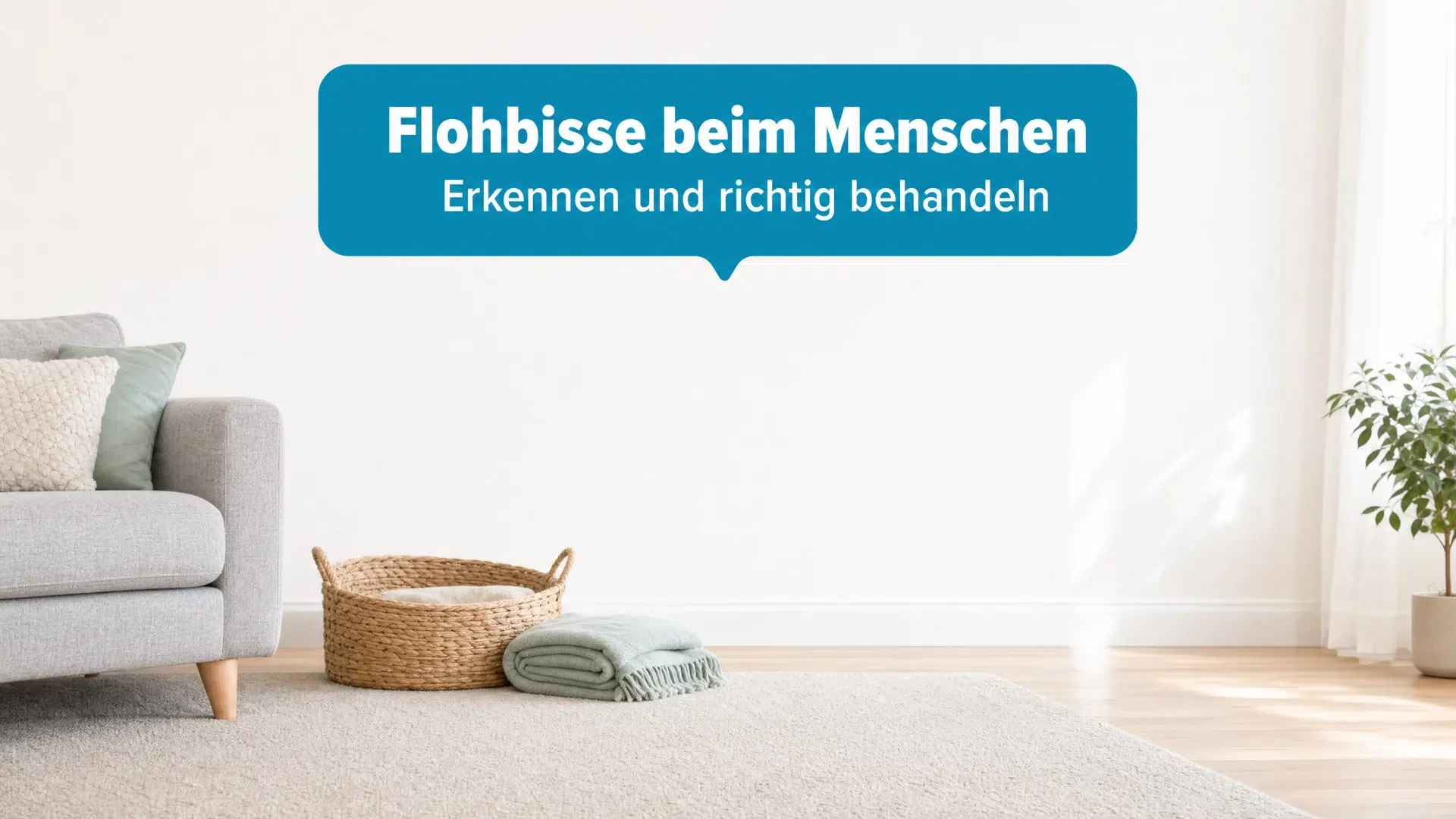 Flohbisse beim Menschen erkennen und behandeln – helles Wohnzimmer mit Teppich