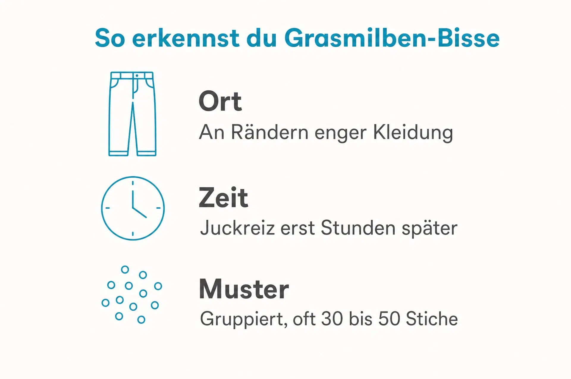 Infografik: Grasmilben-Bisse erkennen an Ort, Zeitpunkt und gruppiertem Muster