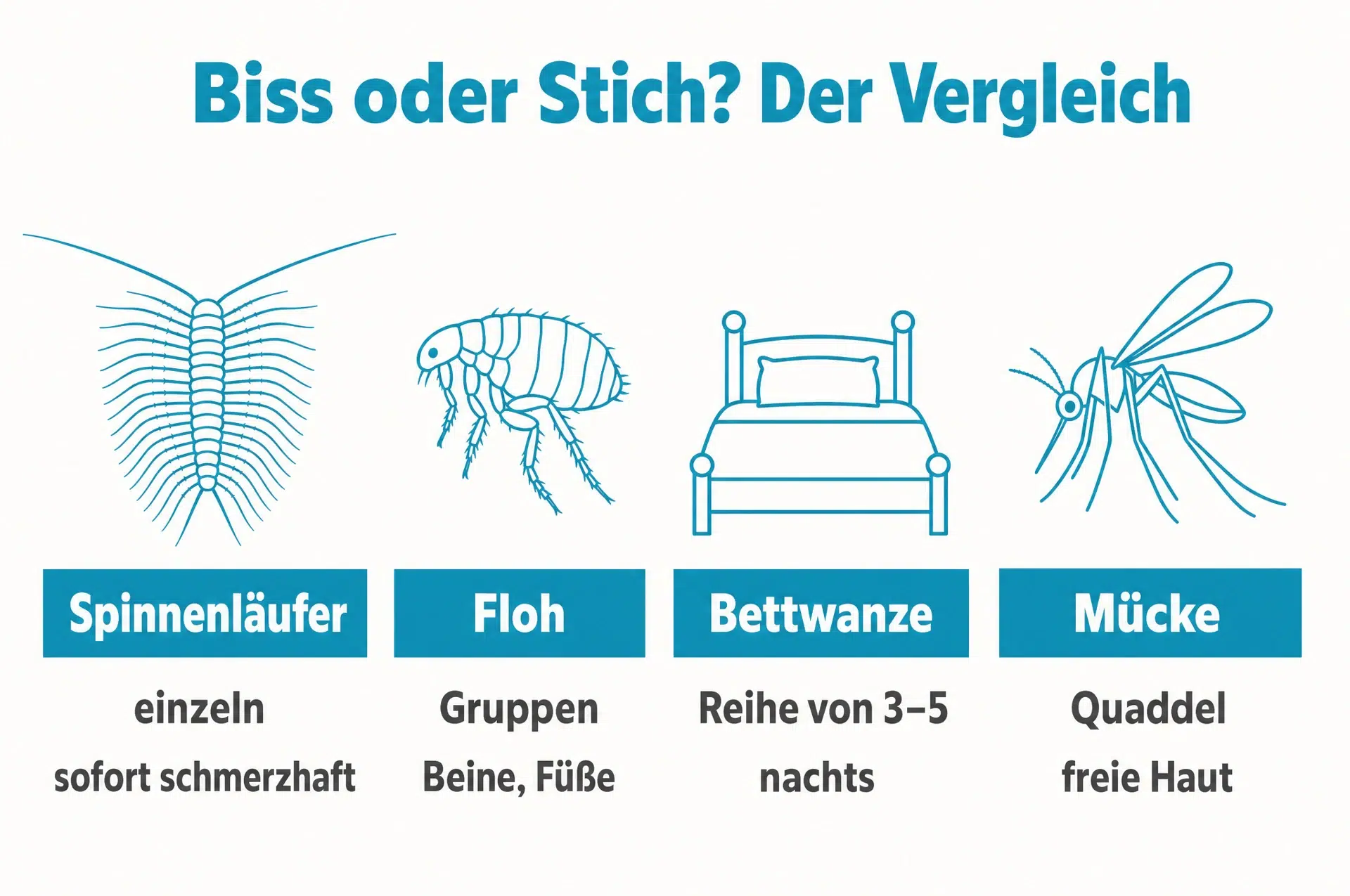 Vergleich: Spinnenläufer-Biss gegen Flohstich, Bettwanzenstich und Mückenstich
