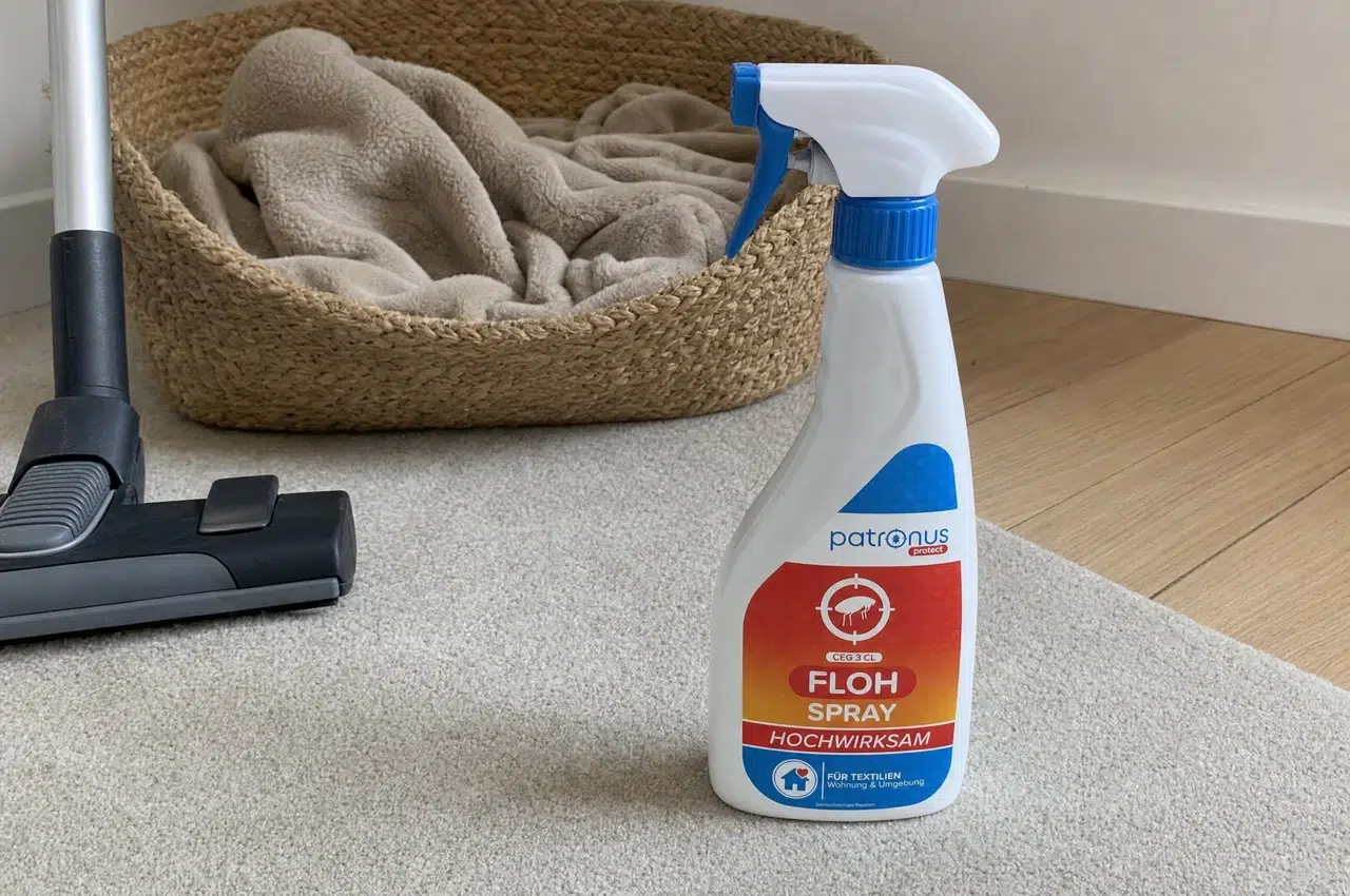 Patronus Floh Spray auf dem Teppich neben dem Tierkörbchen – Umgebungsbehandlung gegen neue Flohbisse
