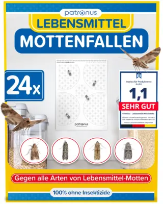 lebensmittelmotten
