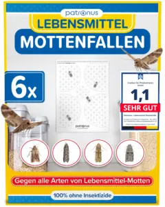 mottenfalle lebensmittel