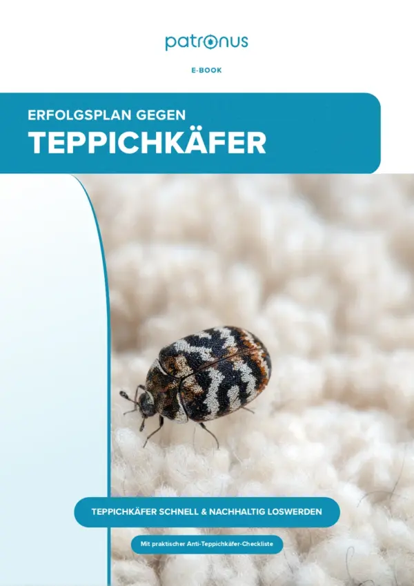 E-Book: Erfolgsplan gegen Teppichkäfer nutzen!