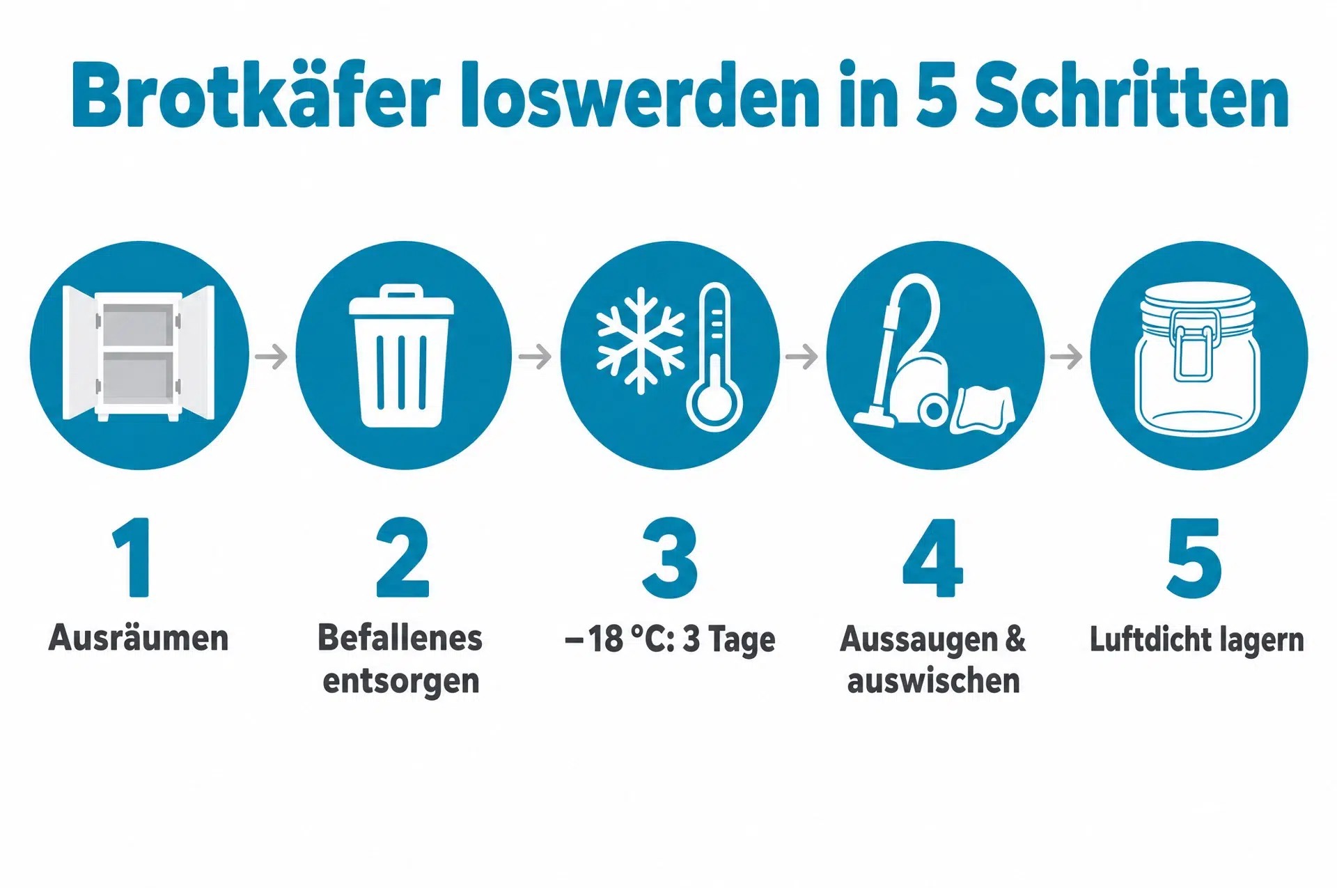 Brotkäfer loswerden in 5 Schritten – Infografik: ausräumen, entsorgen, einfrieren, aussaugen, luftdicht lagern