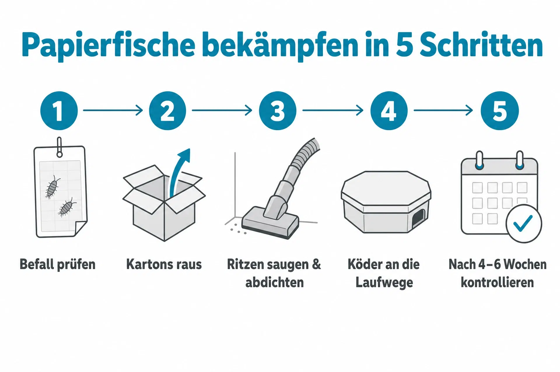 Papierfische bekämpfen in 5 Schritten – Infografik